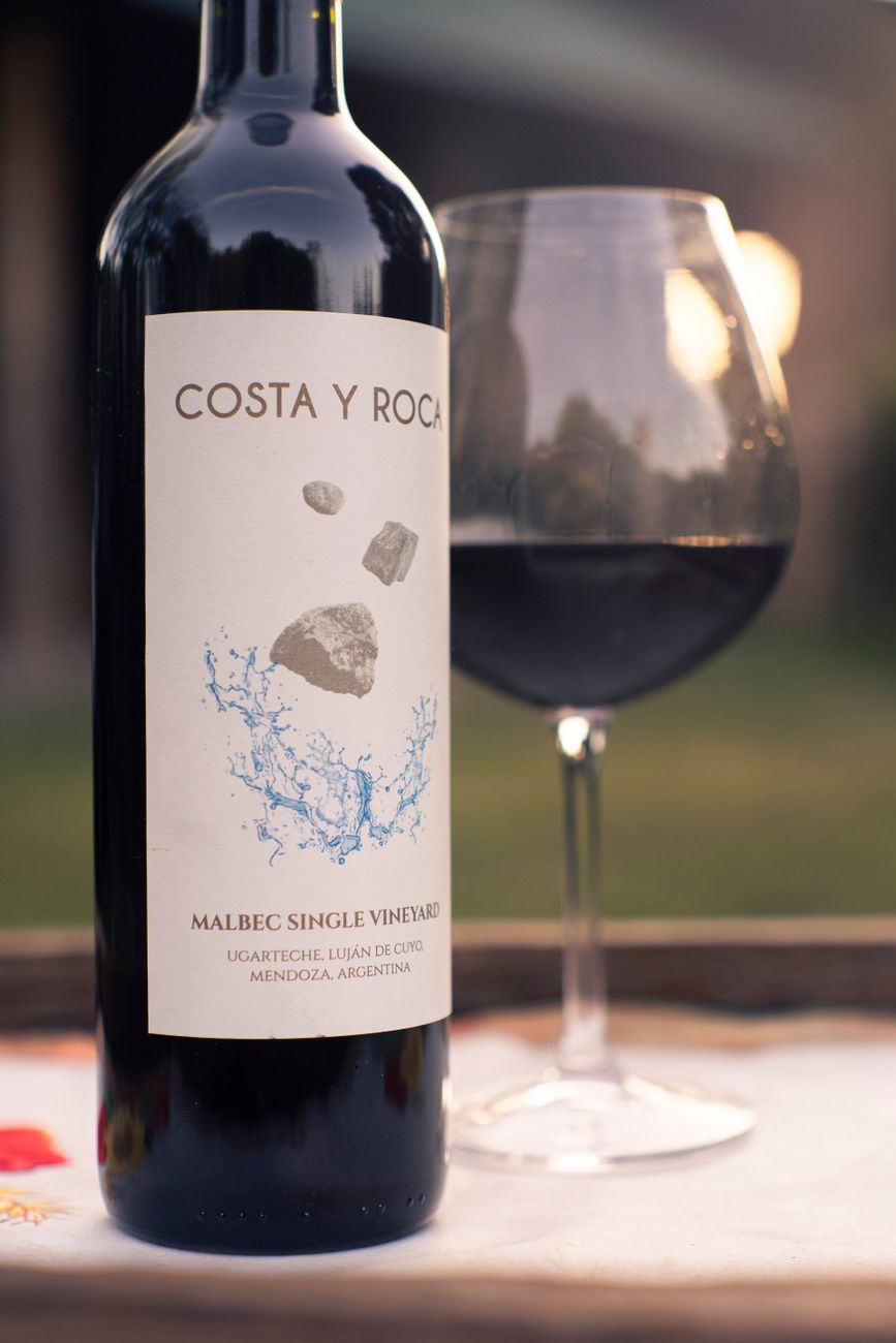 Copa de vino tinto malbec frente a los Andes mendocinos