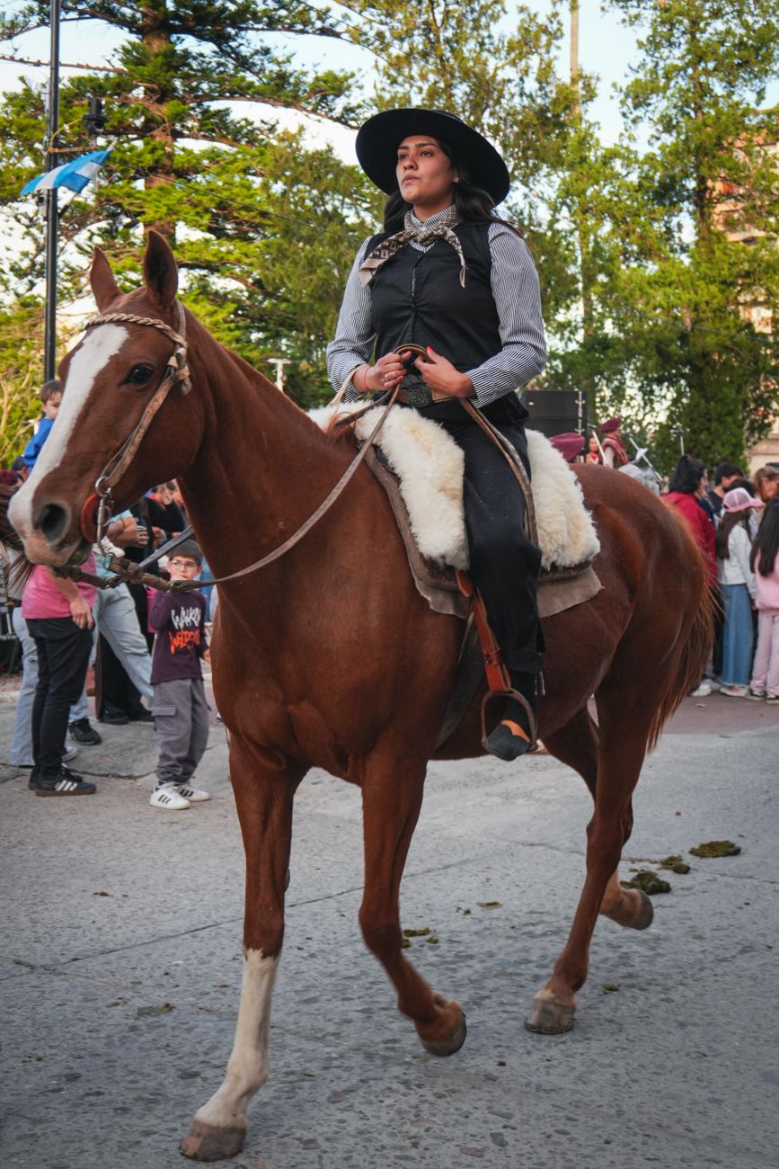 Caballos y estancia gaucha tradicional en la pampa argentina