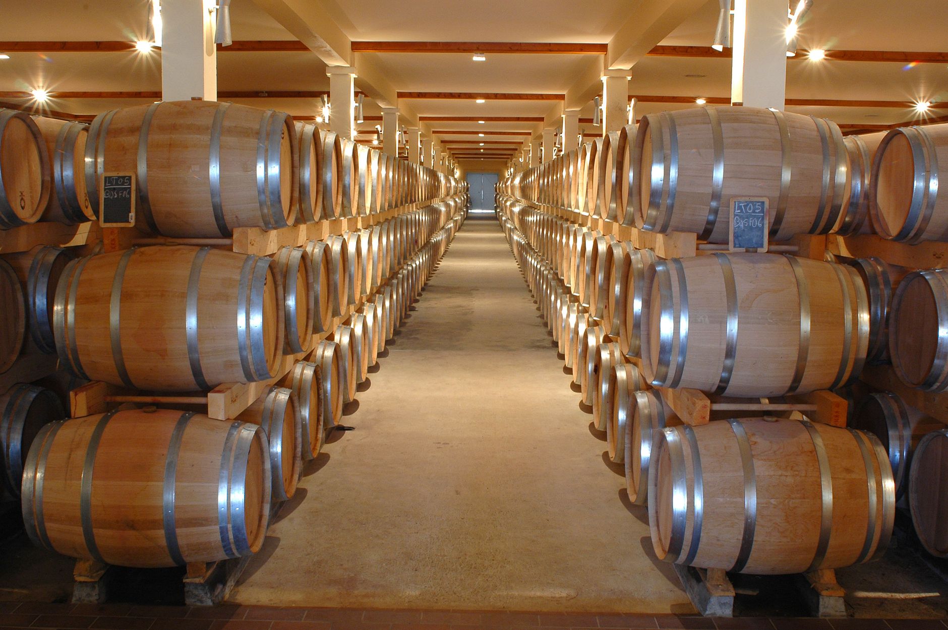 Degustación privada en cava de barricas de roble